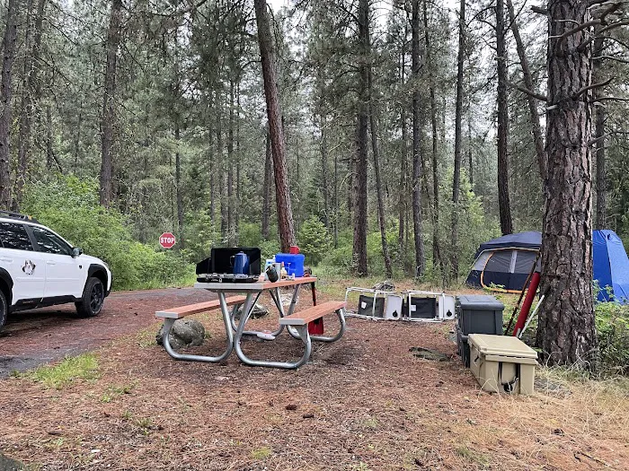 Snag Cove Campground Picture 6