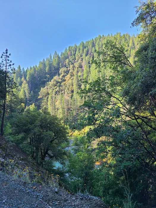 Bridge Camp Campground Picture 4