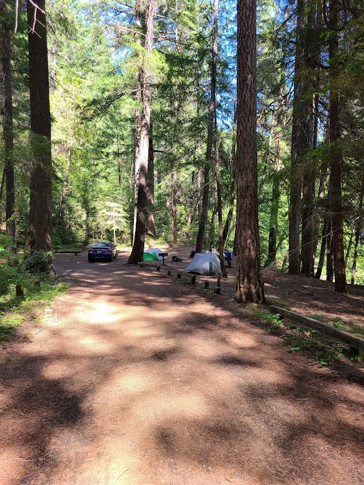 Bridge Camp Campground Picture 10