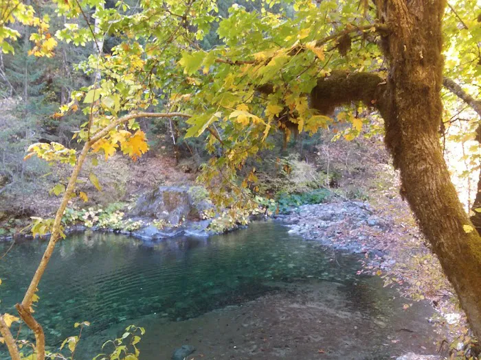 Bridge Camp Campground Picture 9