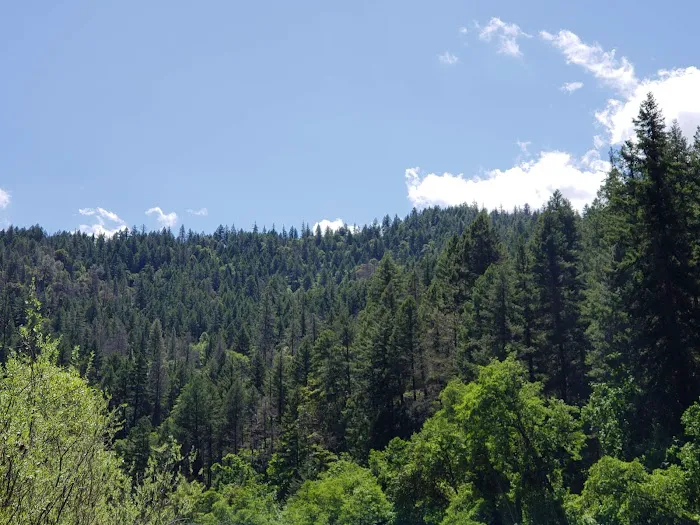 Skunk Point Group Campground Picture 3
