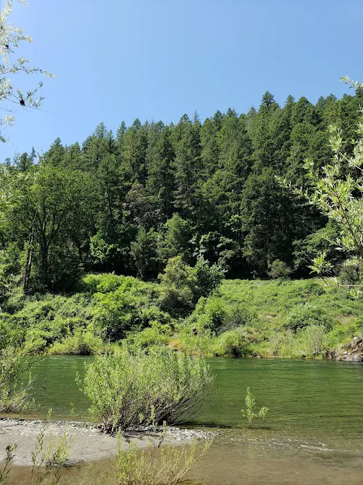 Skunk Point Group Campground Picture 1
