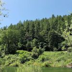 Skunk Point Group Campground