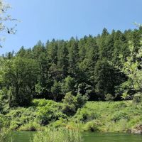 Skunk Point Group Campground ico