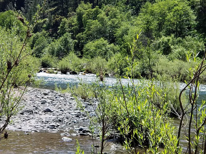 Skunk Point Group Campground Picture 2