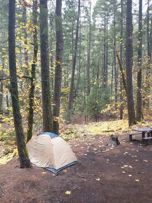 Ripstein Campground Picture 7