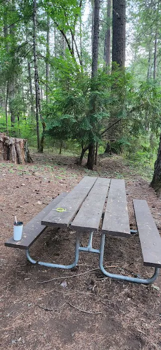 Ripstein Campground Picture 5