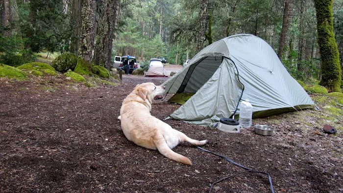 Ripstein Campground Picture 1