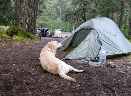 Ripstein Campground
