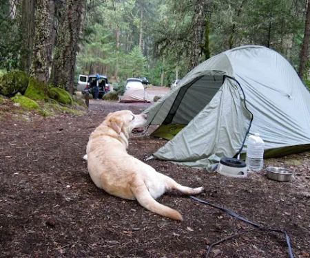 Ripstein Campground