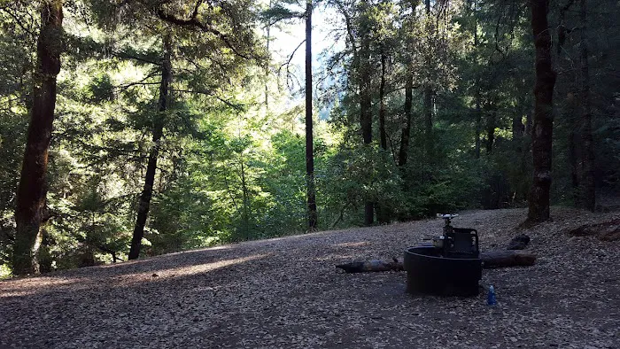 Ripstein Campground Picture 2
