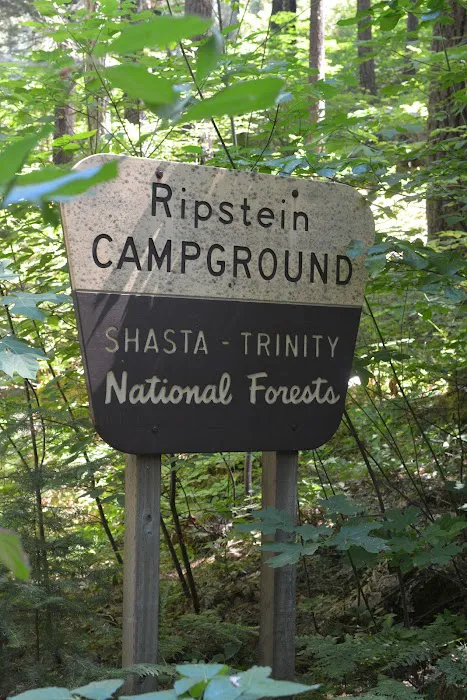 Ripstein Campground Picture 8