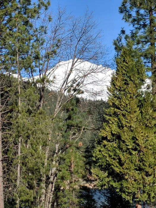 US Forest Service Ranger Station Picture 1