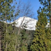US Forest Service Ranger Station ico