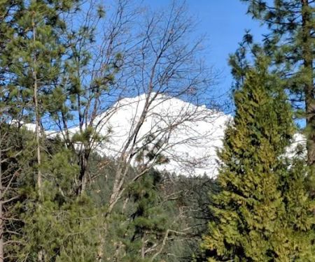 US Forest Service Ranger Station