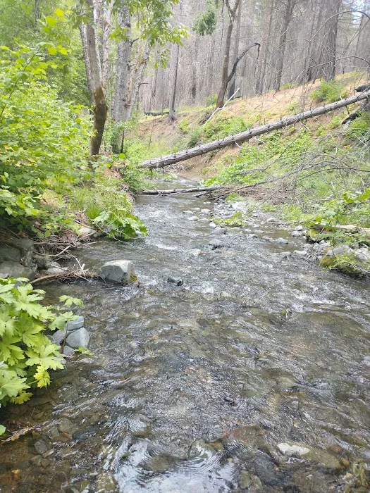 Basin Gulch Mid-fk Cottonwood Creek Cg-f Picture 4