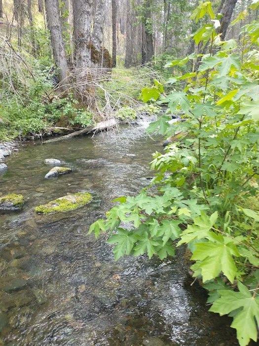 Basin Gulch Mid-fk Cottonwood Creek Cg-f Picture 2