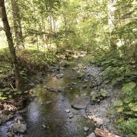 Basin Gulch Mid-fk Cottonwood Creek Cg-f ico