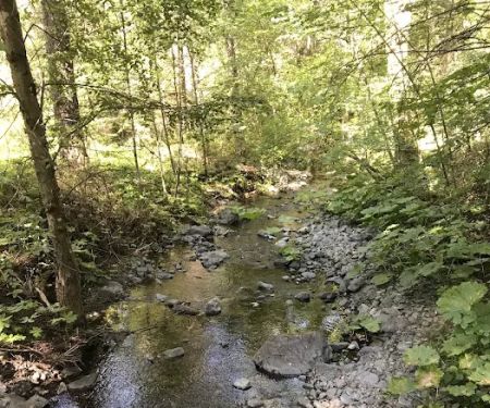 Basin Gulch Mid-fk Cottonwood Creek Cg-f