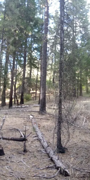 Salt Creek Campground Picture 3
