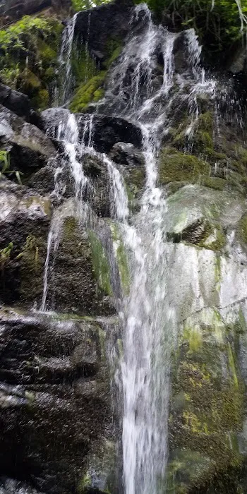 Salt Creek Campground Picture 4