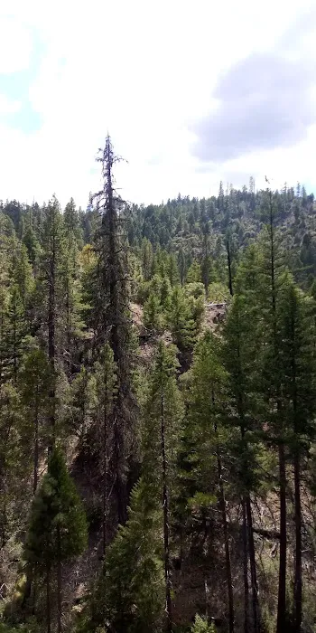 Salt Creek Campground Picture 1