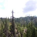 Salt Creek Campground