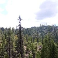 Salt Creek Campground ico
