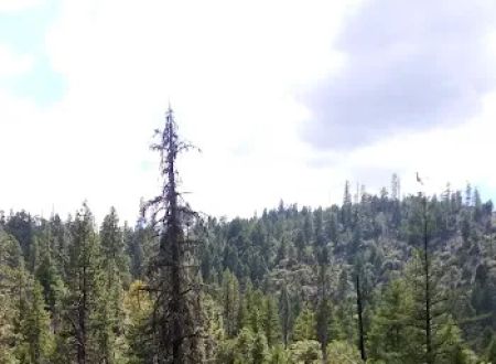 Salt Creek Campground