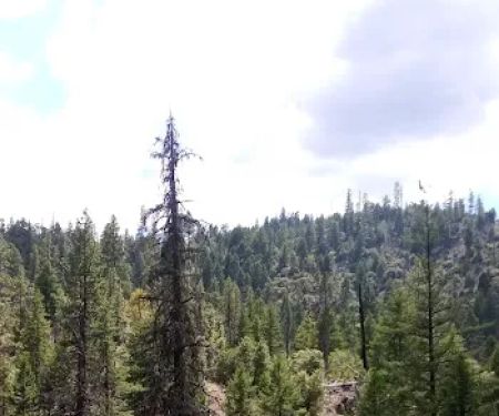 Salt Creek Campground