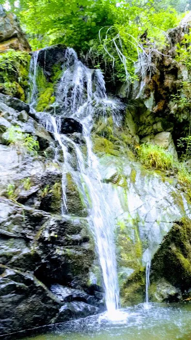 Salt Creek Campground Picture 5
