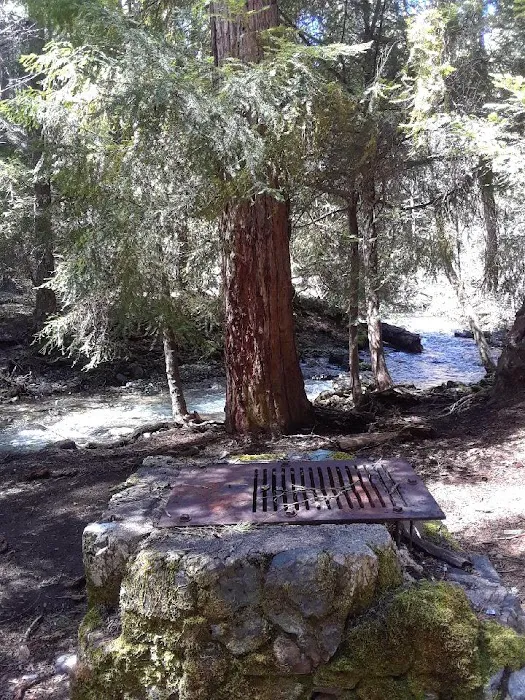 North Fork Beegum Creek Fcg Picture 5