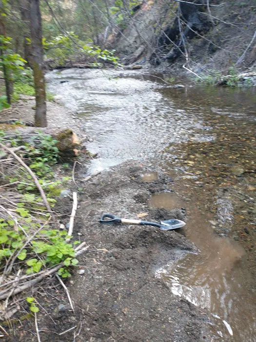 North Fork Beegum Creek Fcg Picture 2