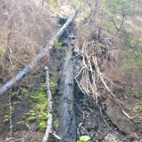North Fork Beegum Creek Fcg ico
