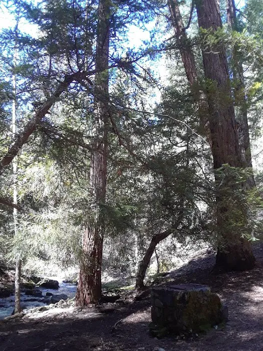North Fork Beegum Creek Fcg Picture 4