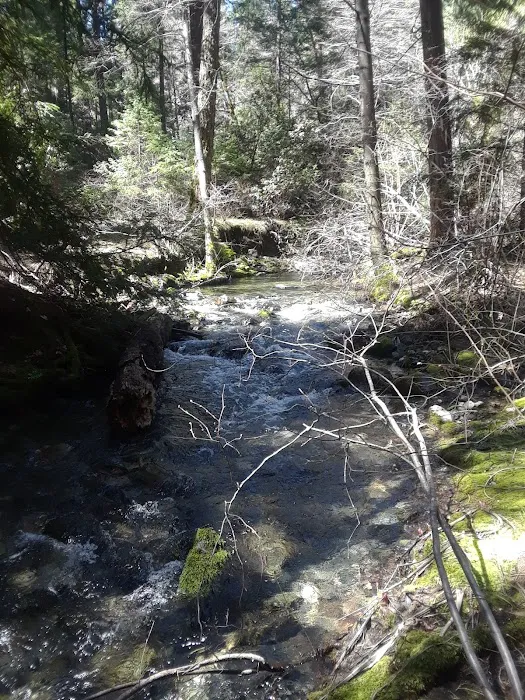 North Fork Beegum Creek Fcg Picture 9