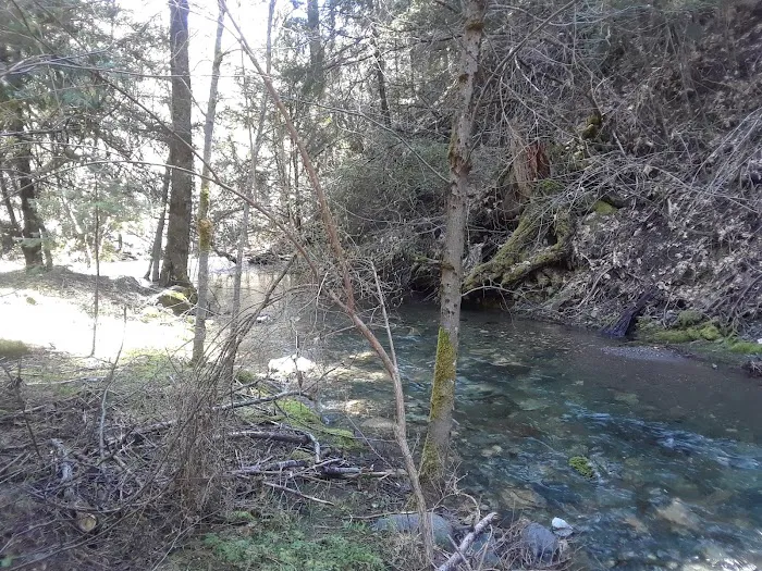 North Fork Beegum Creek Fcg Picture 7