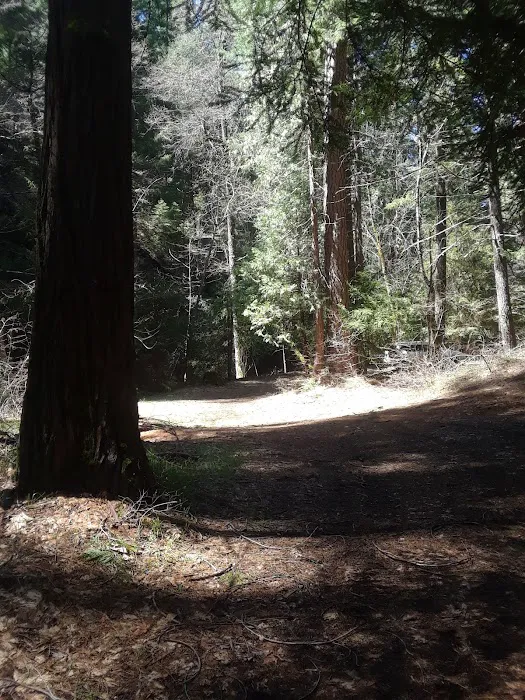 North Fork Beegum Creek Fcg Picture 10