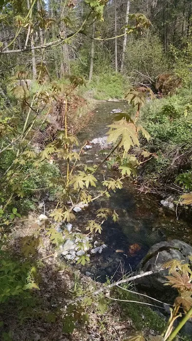 Philpot Campground Picture 3