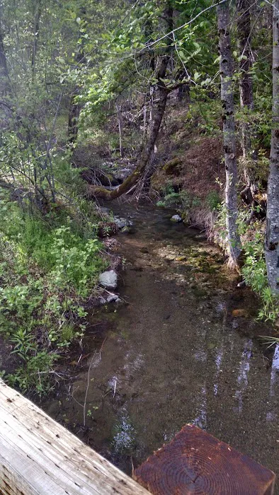 Philpot Campground Picture 2