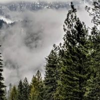 Whites Bar Picnic Area ico