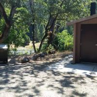 Hayden Flat Campground ico