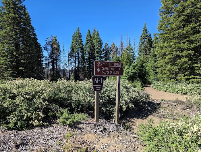 Grizzly Flat Dispersed Campground Picture 6