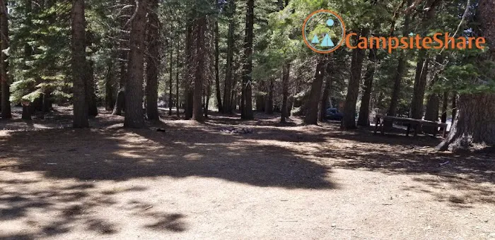 Grizzly Flat Dispersed Campground Picture 5