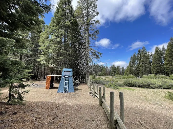 Grizzly Flat Dispersed Campground Picture 7
