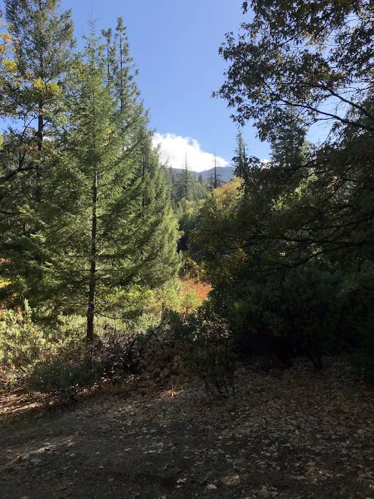 Howard Meadows Campground Picture 10
