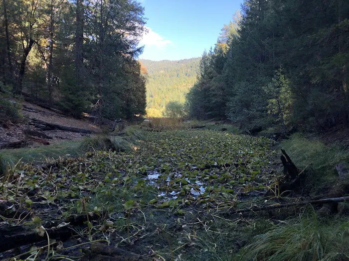 Howard Meadows Campground Picture 9