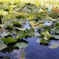 Howard Meadows Campground ico