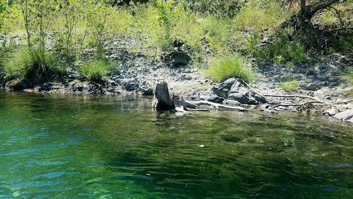 Eel River Campground Picture 8