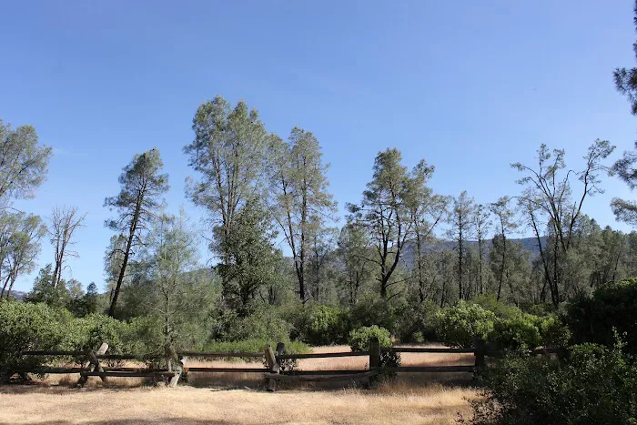 Oak Flat Campground Picture 3